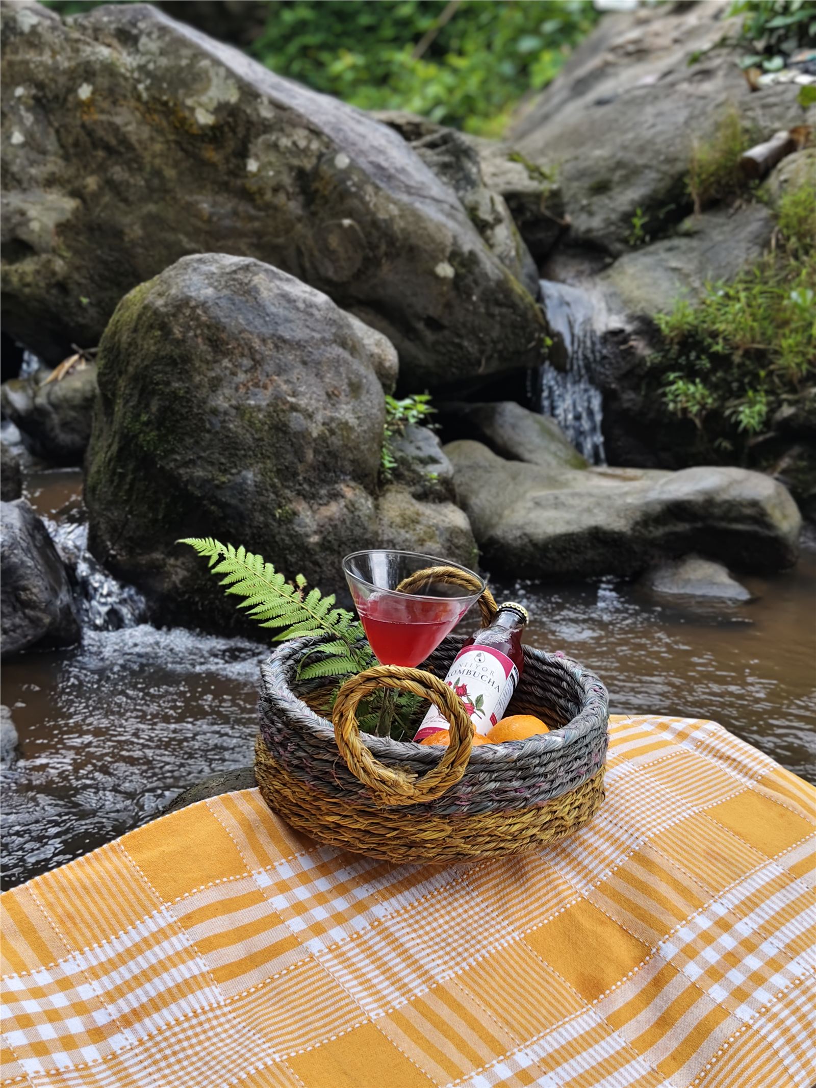 Niiyor Kombucha beside a Northeast forest stream